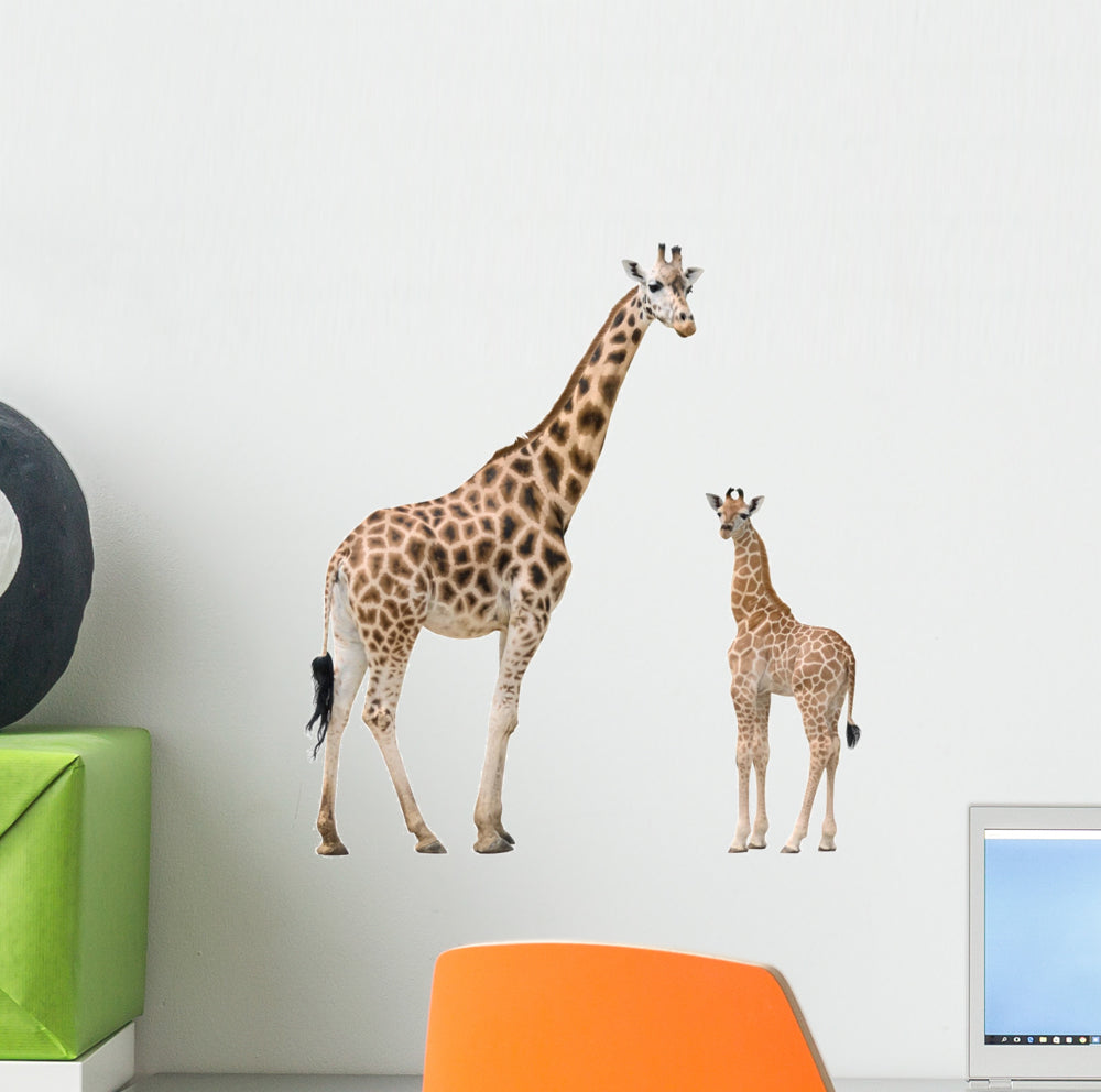 Magnetic wall sticker by Groovy Magnets - adhesive wall sticker with giraffe