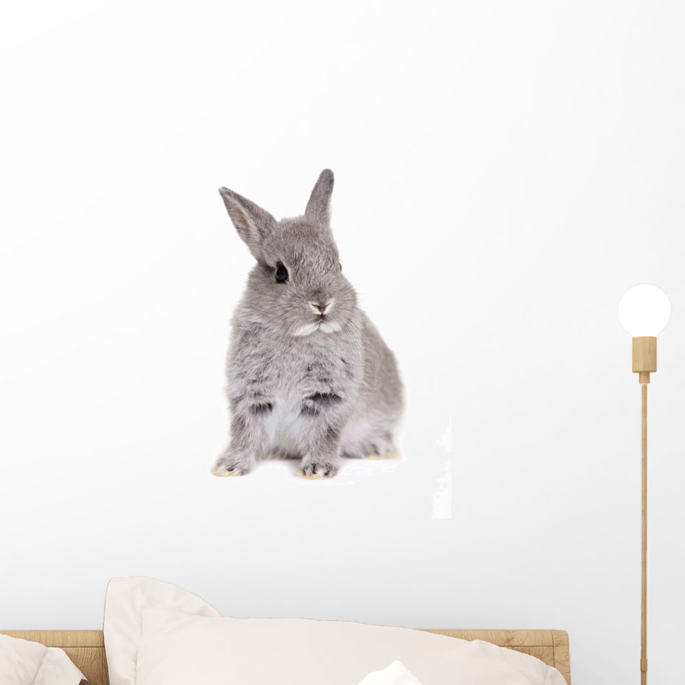 Gray Baby Bunny Rabbit Wall Decal – Wallmonkeys