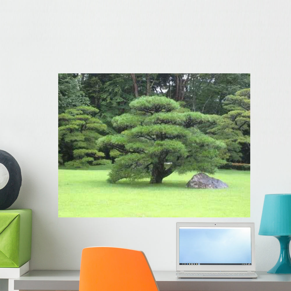 Japanese Garden Bonsai Tree Wall Decal - WallMonkeys.com