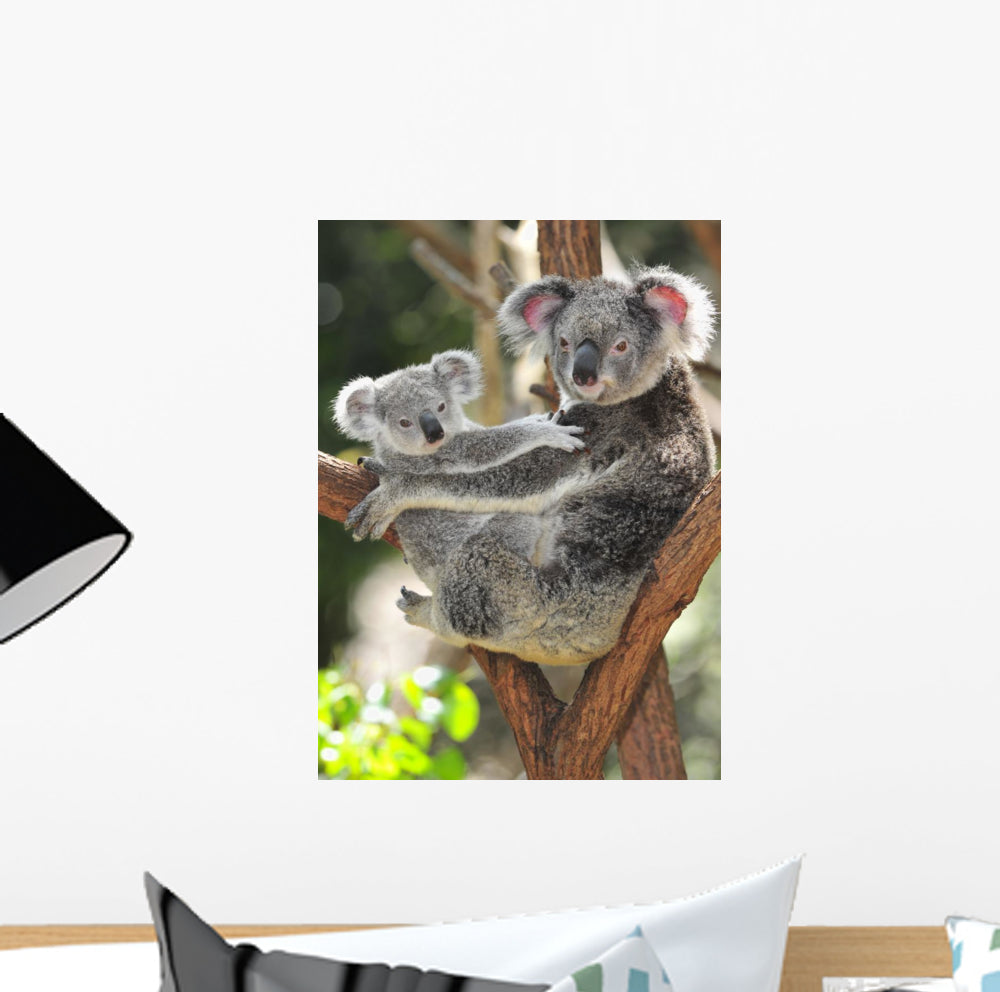 Australian Koala Bear with – Wallmonkeys