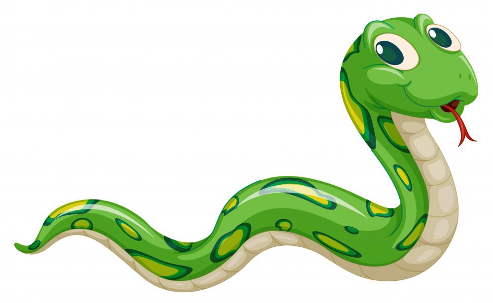 3D Cute Cartoon Snake – Wallmonkeys