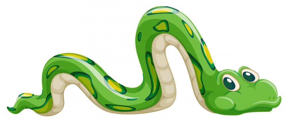 3D Cute Cartoon Snake – Wallmonkeys