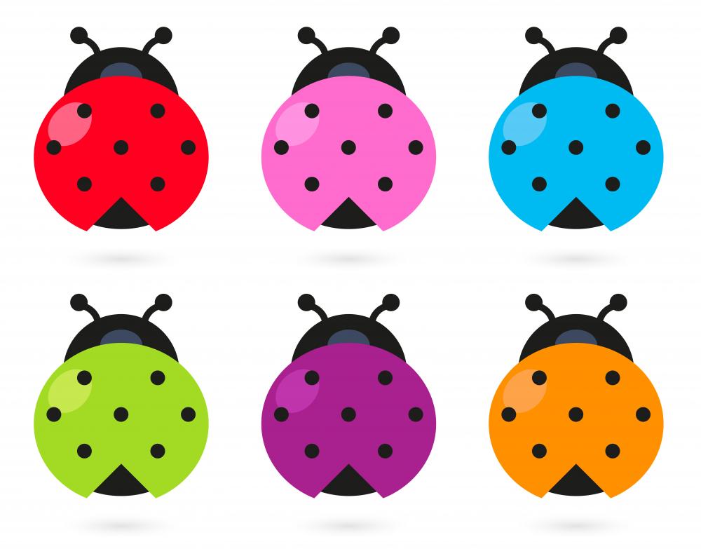 My Wonderful Walls Ladybug Decals Stickers for Ladybug Wall Decor - Set of 6