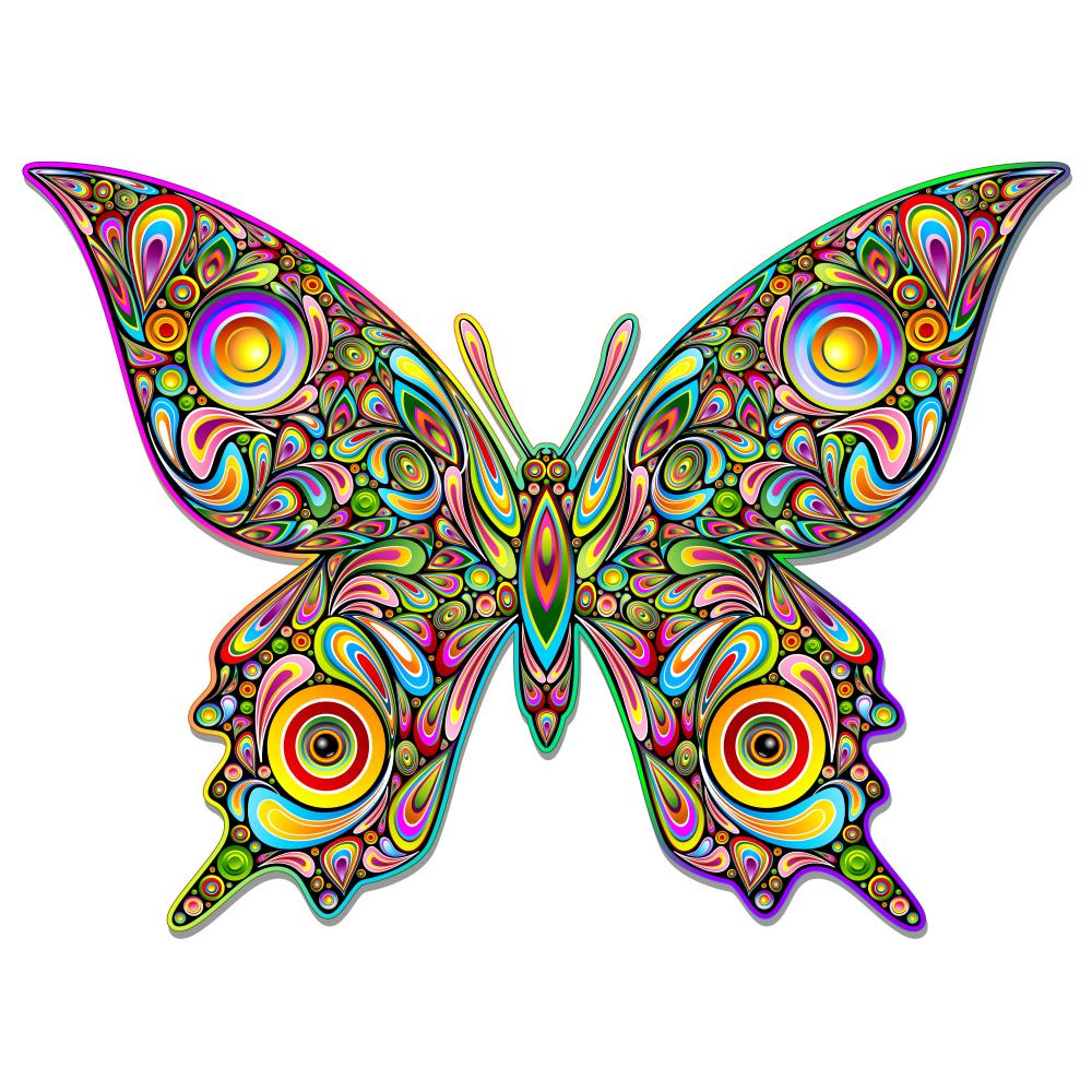 Beautiful Colorful Butterfly Vinyl Sticker Decal - Psychedelic Butterf –  Grateful Graffix