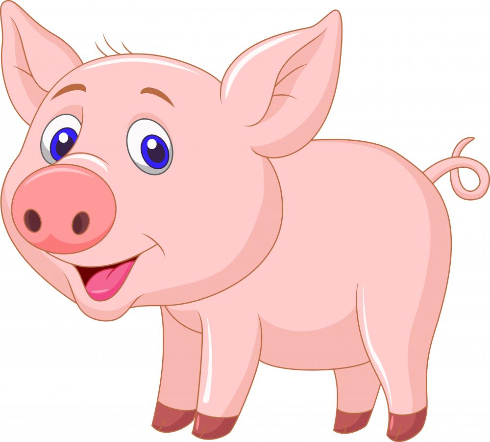 pig cartoon png