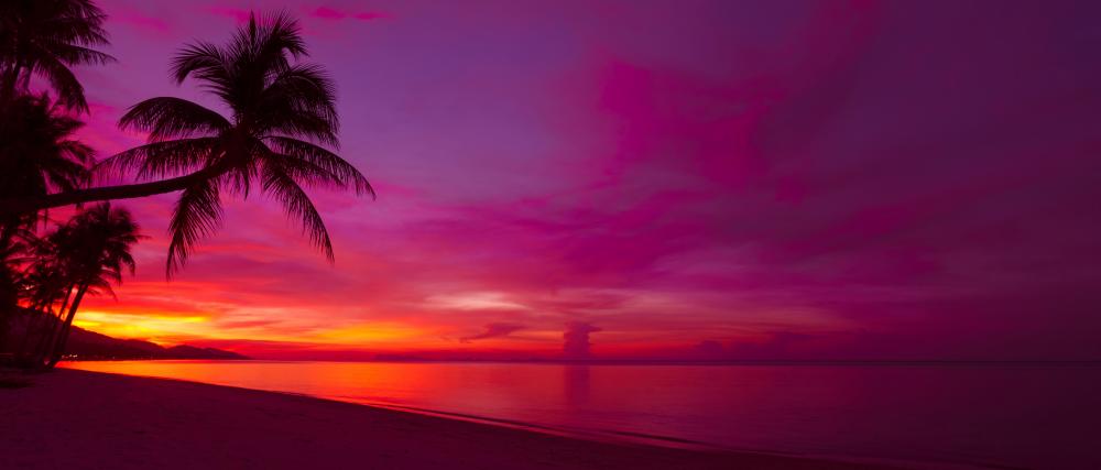 tropical pink sunset