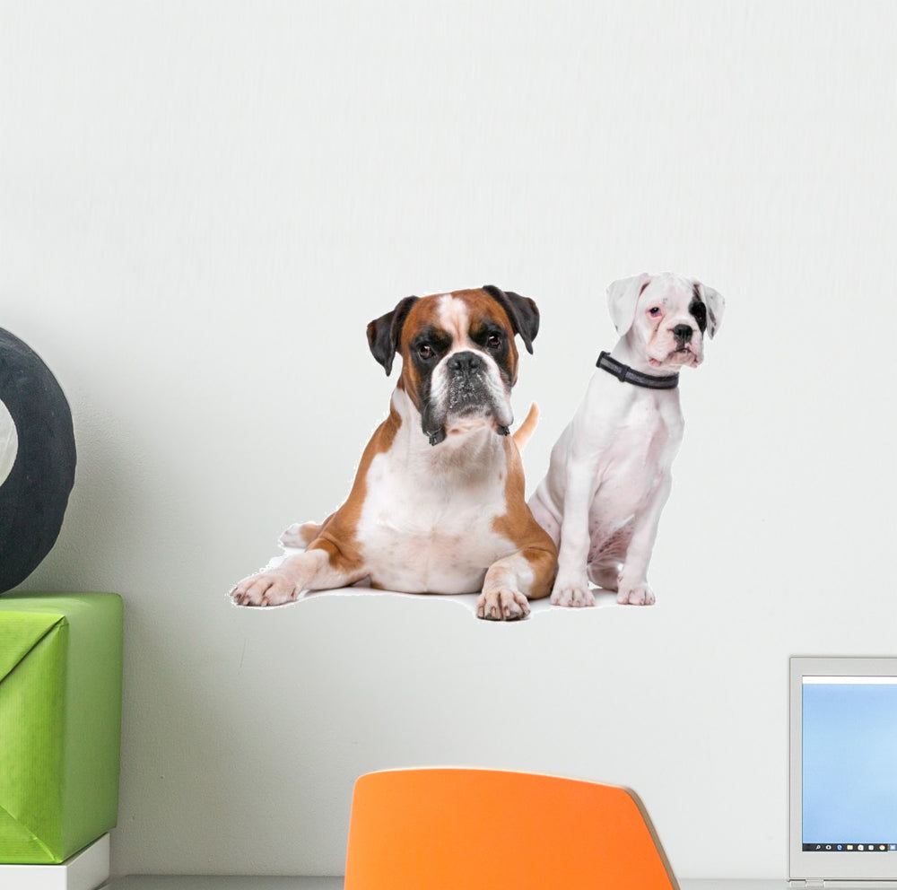 Brown Boxer Dog and White Puppy Wall Decal - WallMonkeys.com