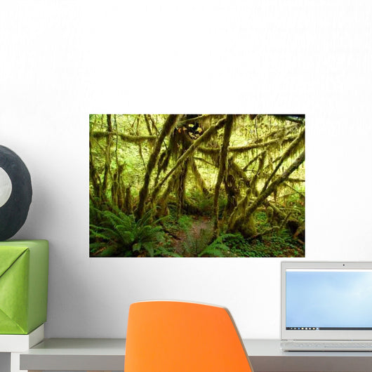 Rain Forest No2 Wall Decal - WallMonkeys.com – Wallmonkeys