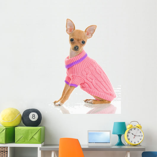 Chihuahua pink clearance sweater