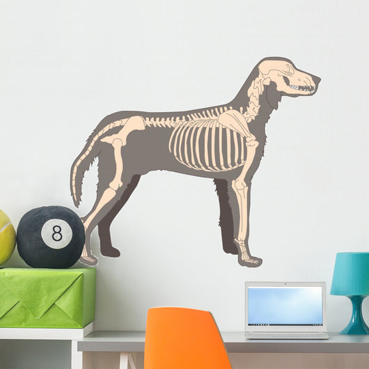 Cool skeleton dog design Sticker