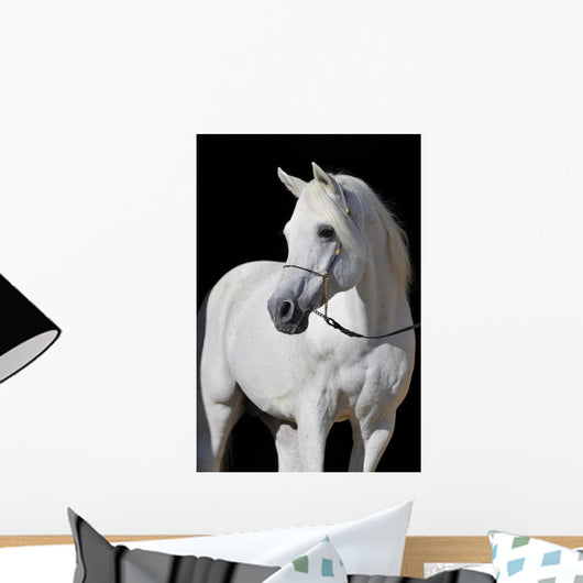 Buy White Horse in Stall Door Mural Sticker Skin Cover Online in