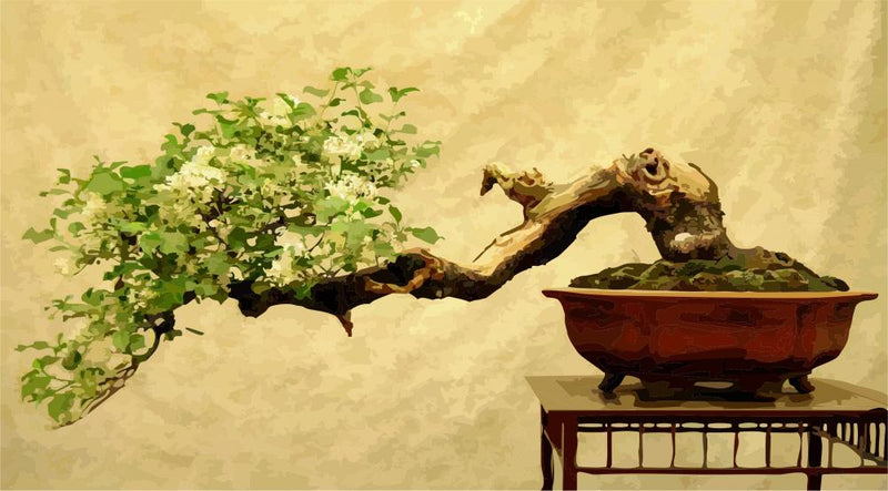 Bonsai Tree Tableau 13 Tree Portrait, Tree Wall Art, Tree Wall Decor,  Wallboard, Home Decoration, Handmade 