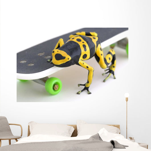 Skateboarding Frog' Sticker