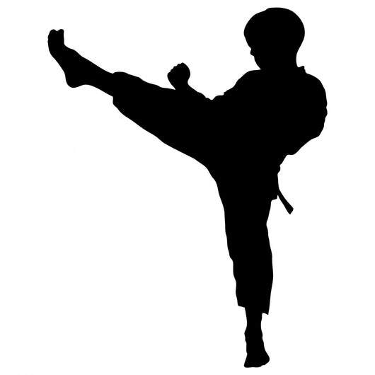 martial arts kick silhouette