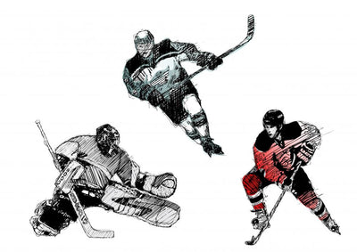 Hockey decal Hockey sticker Ice Sport svg Wall Vinyl Decal Sticker Decor  TK2216