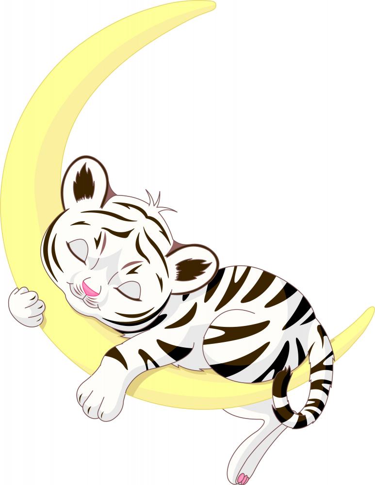 cute cartoon baby white tiger