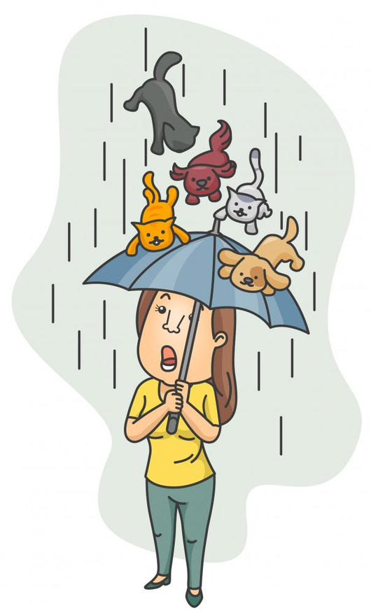 raining cats and dogs drawing
