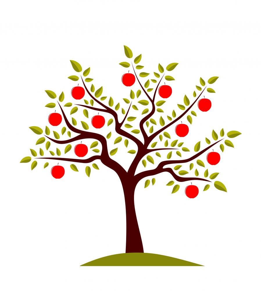 Apple Tree Wall Decal – Wallmonkeys