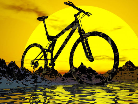 Mountain biking wall online art