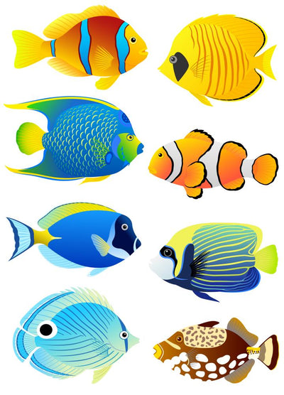 Sea Life Wall Decals | Sharks, Dolphins & Fish Wall Stickers – Wallmonkeys