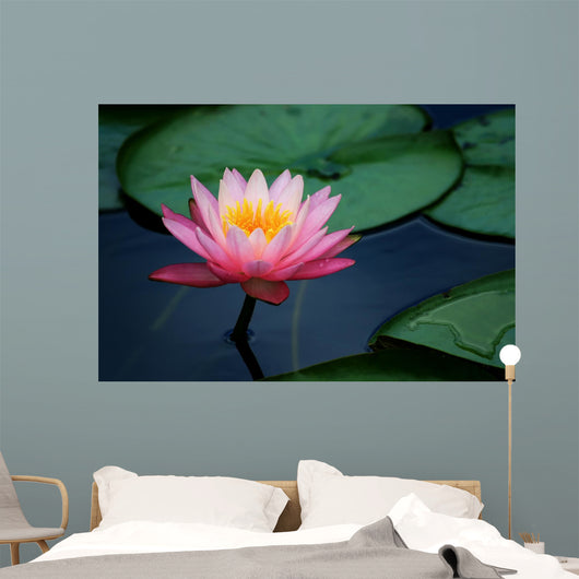 Lily Pads and Lotus Wall Mural – Wallmonkeys