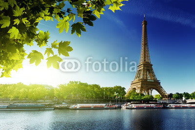 Seine in Paris with Eiffel tower Wall Mural