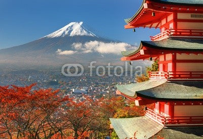 Mt. Fuji and Pagoda Wall Mural