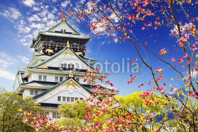 Osaka castle for adv or others purpose use Wall Mural