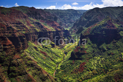 Waimea Canyon on Kauai Wall Mural