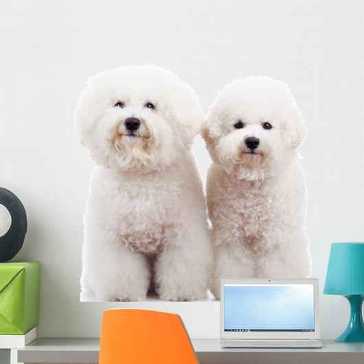 Bichon deals frise stickers