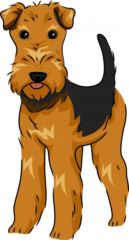 airedale coloring pages