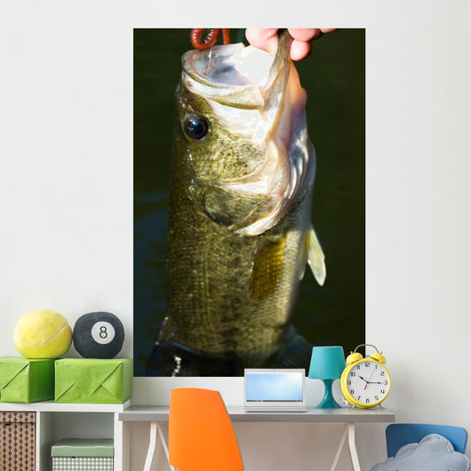 Bass-fishing Wall Decal -  – Wallmonkeys