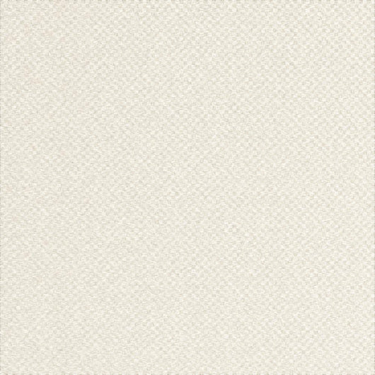White Canvas Texture (Paper)