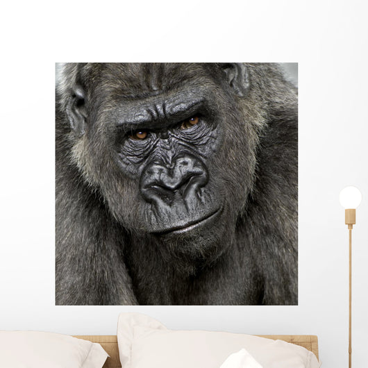 Gorilla Print Square Pillow 