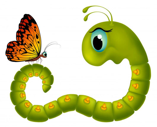 caterpillar butterfly clipart