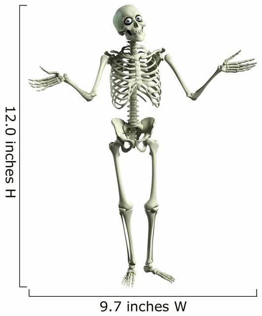 cartoon skeleton body