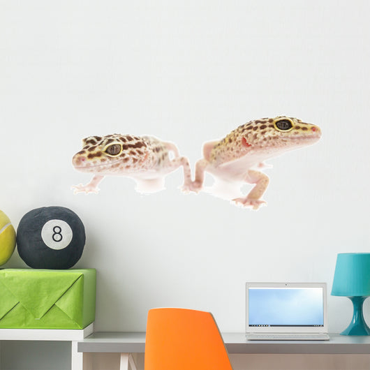 Leopard Gecko Wall Decal WallMonkeys Wallmonkeys