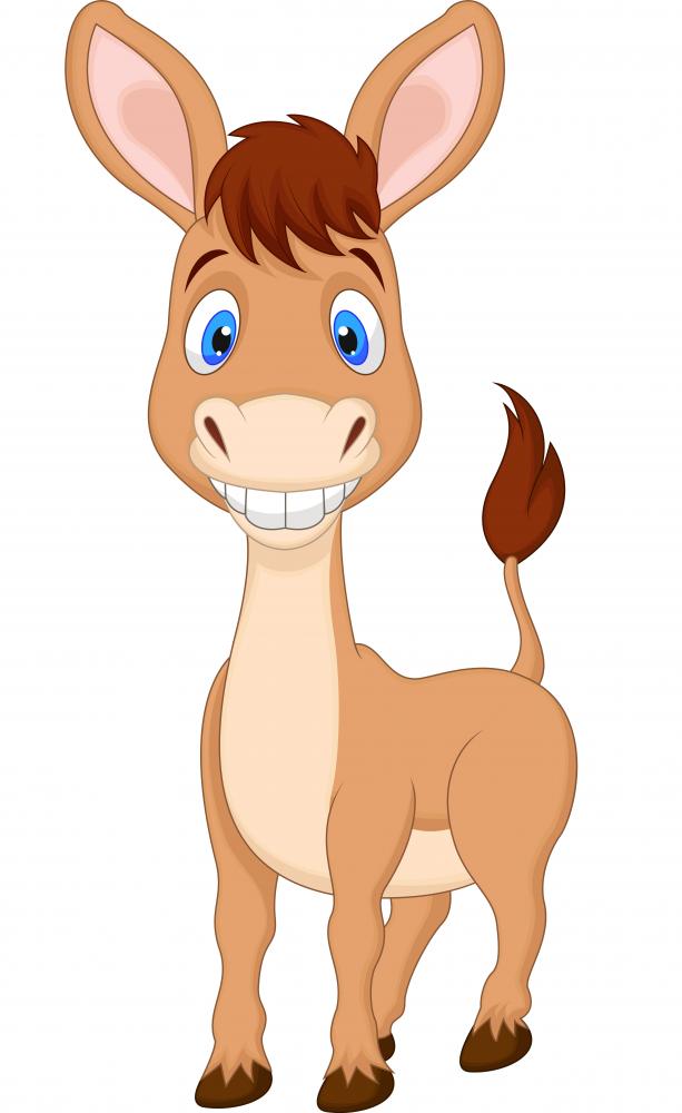 donkey cartoon clipart