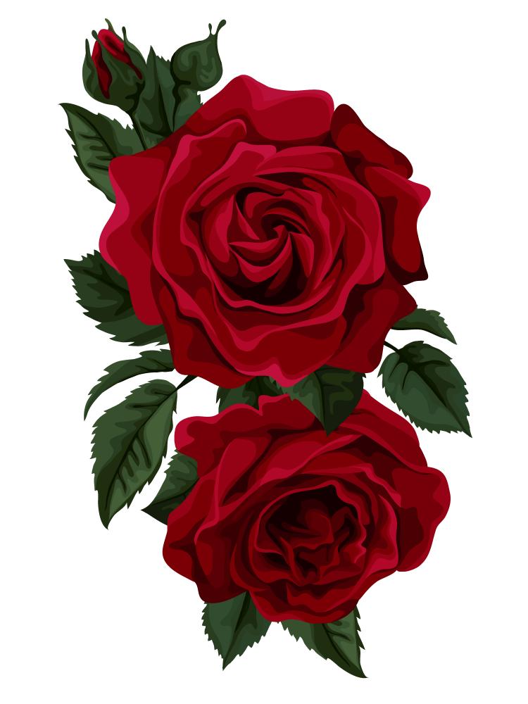 Red Red Rose Wall Decal - WallMonkeys.com – Wallmonkeys