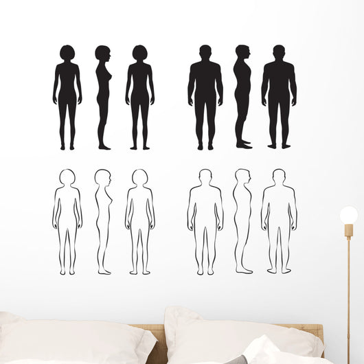 Human body silhouette vector, anatomy posters for the wall • posters white,  view, vector