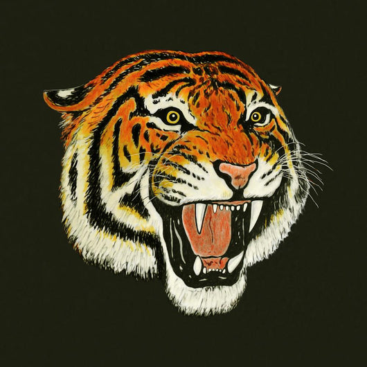 how to draw a tiger roaring step by step
