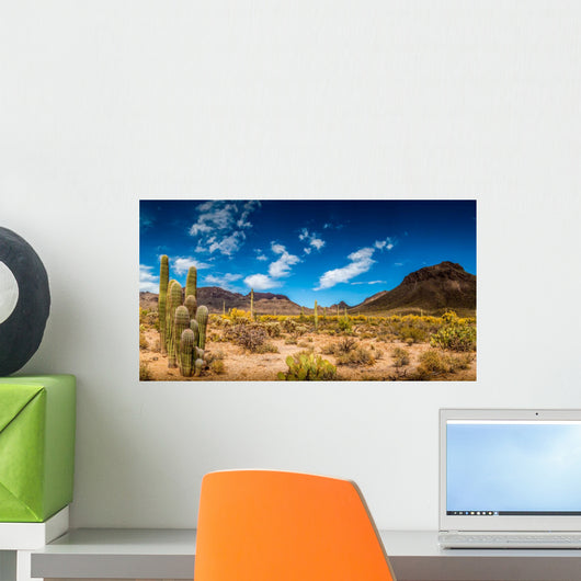 Arizona Desert Landscape Wall Decal - WallMonkeys.com – Wallmonkeys