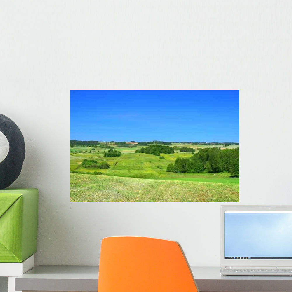 Summer Landscape with Cloudless Wall Decal - WallMonkeys.com – Wallmonkeys