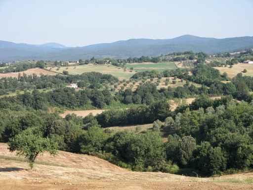 Tuscan Countryside Wall Decal