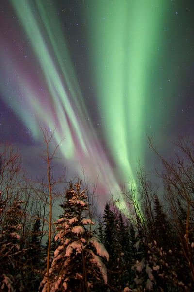 Aurora borealis light landscape 2 Sticker for Sale by Art Dream Studio