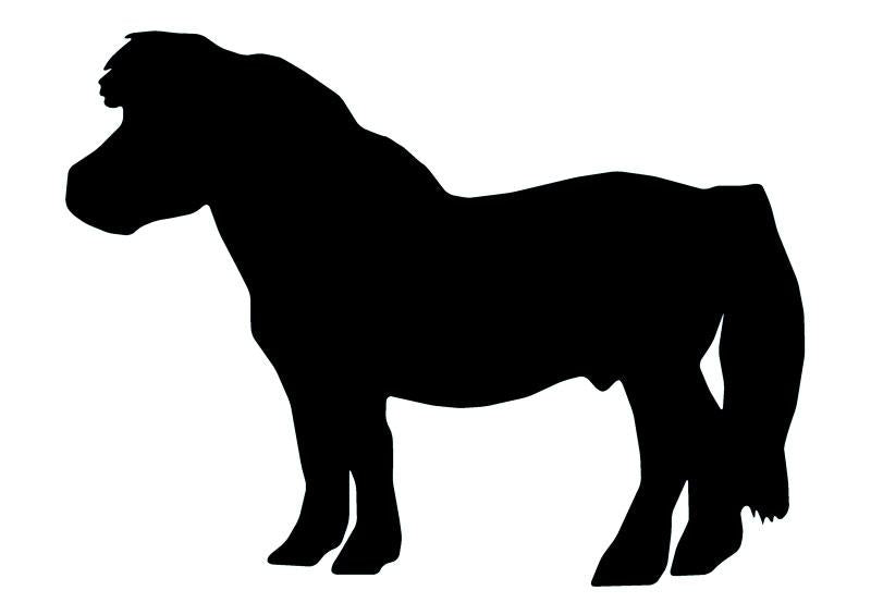 Shetland Pony Wall Decal -  – Wallmonkeys